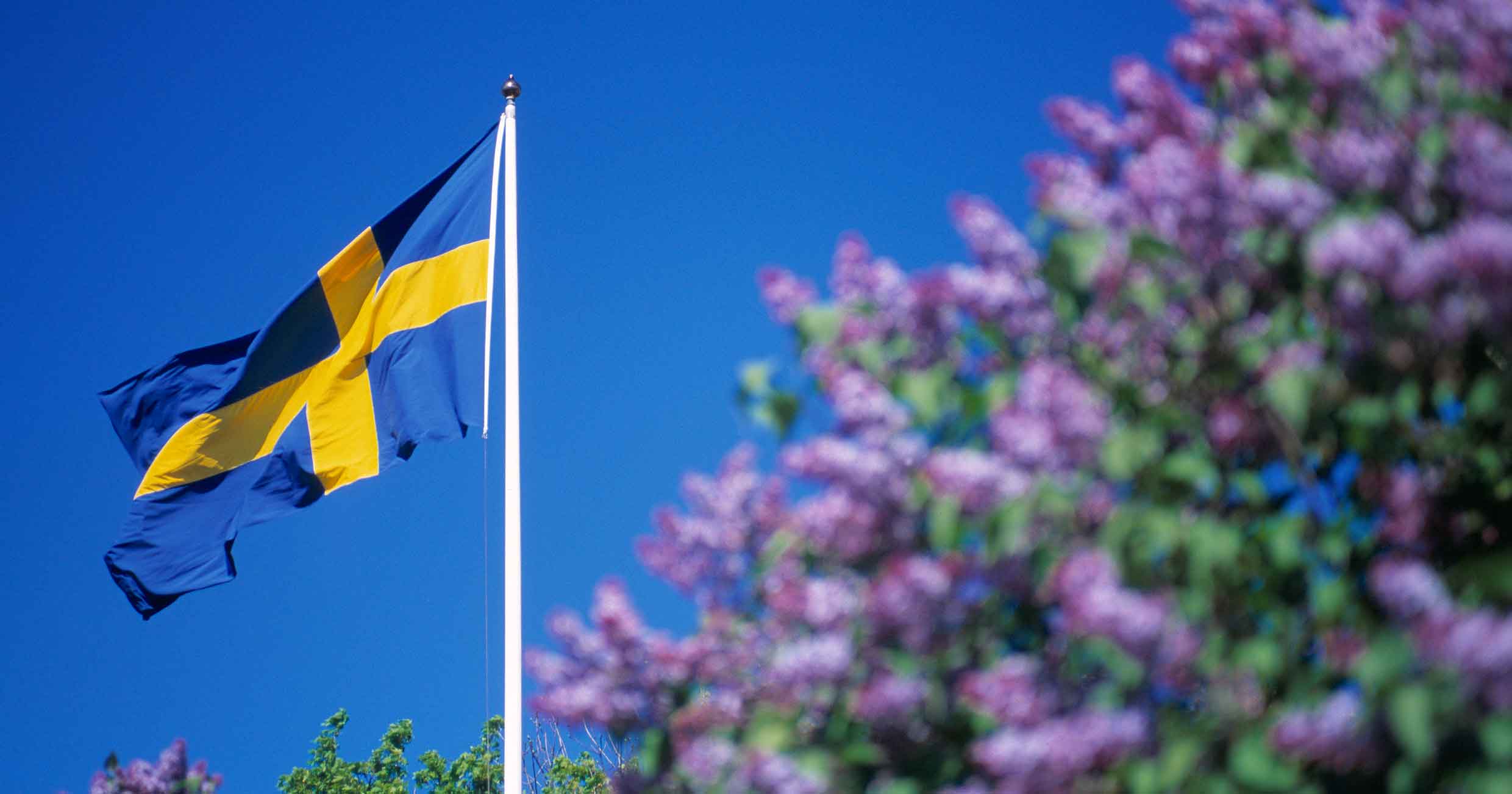 De sommarpratar 2025 – enligt oddsen