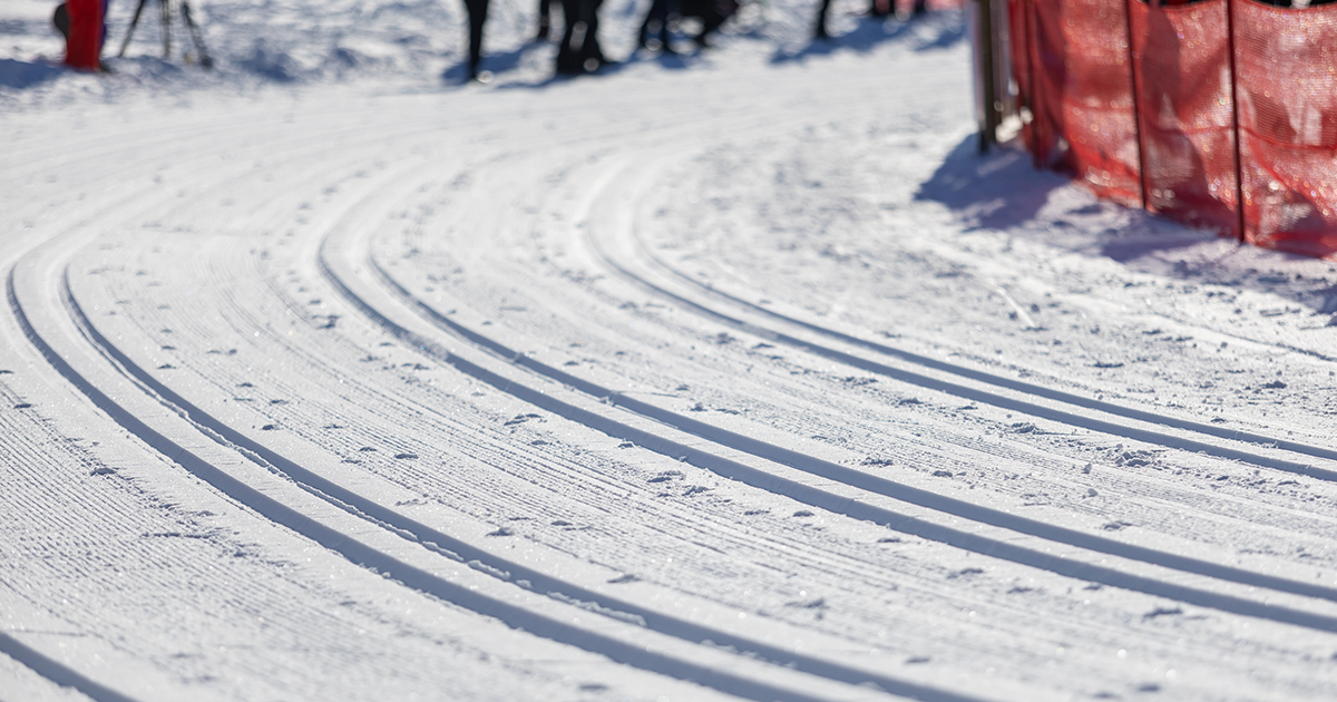 Här är vinnaren av bragdguldet – enligt oddsen